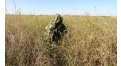 Маскировочный халат Taganrog Кикимора – купить по цене 3550 руб. в интернет-магазине в городе Новосибирск картинка 13